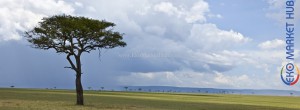 Africa Venture Lab 1067